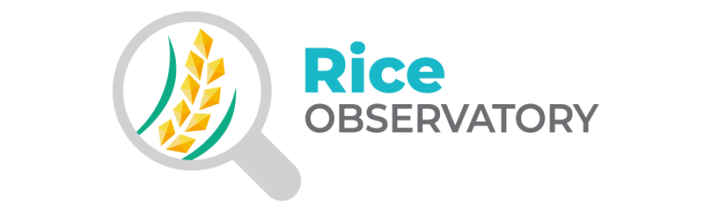 Observatorio del Arroz