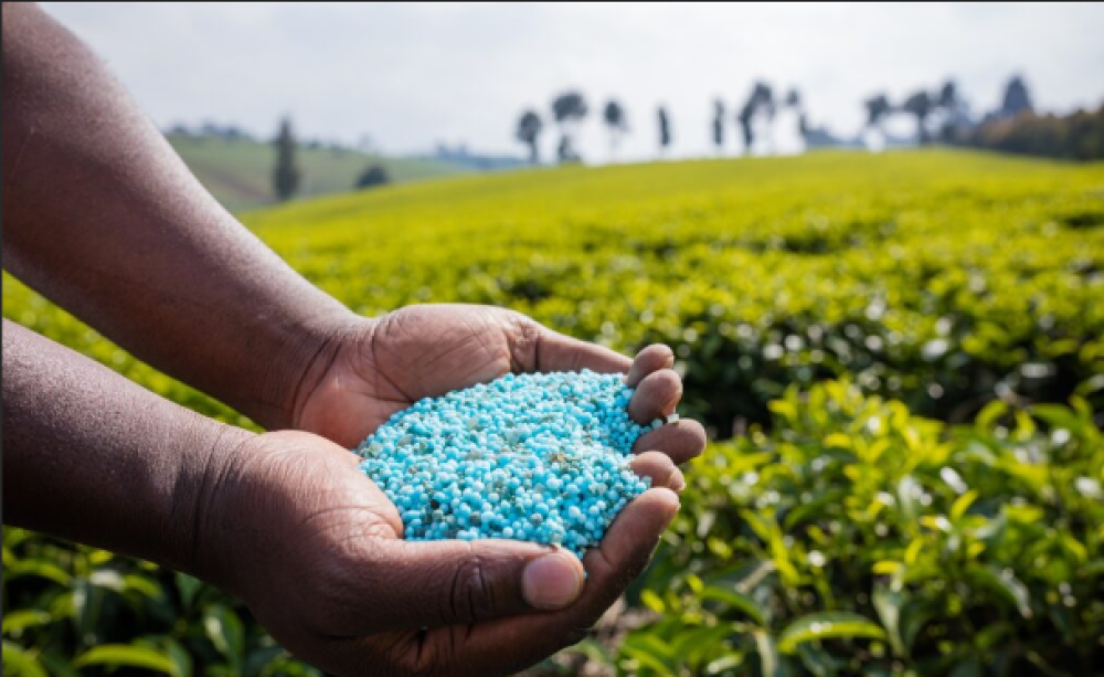 Dominican Republic: Ministry of Agriculture states that fertilizer prices will not increase despite the impact of the war