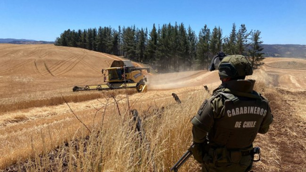 Araucanía: Farmers request measures in the face of a possible crisis due to avian flu and rising fertilizer prices