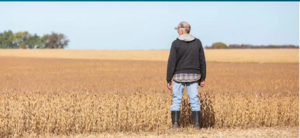 El alza de los precios de los fertilizantes podría presionar a la agricultura de Estados Unidos, un sector que sostiene 50 millones de empleos y más de 10 billones de dólares en producción