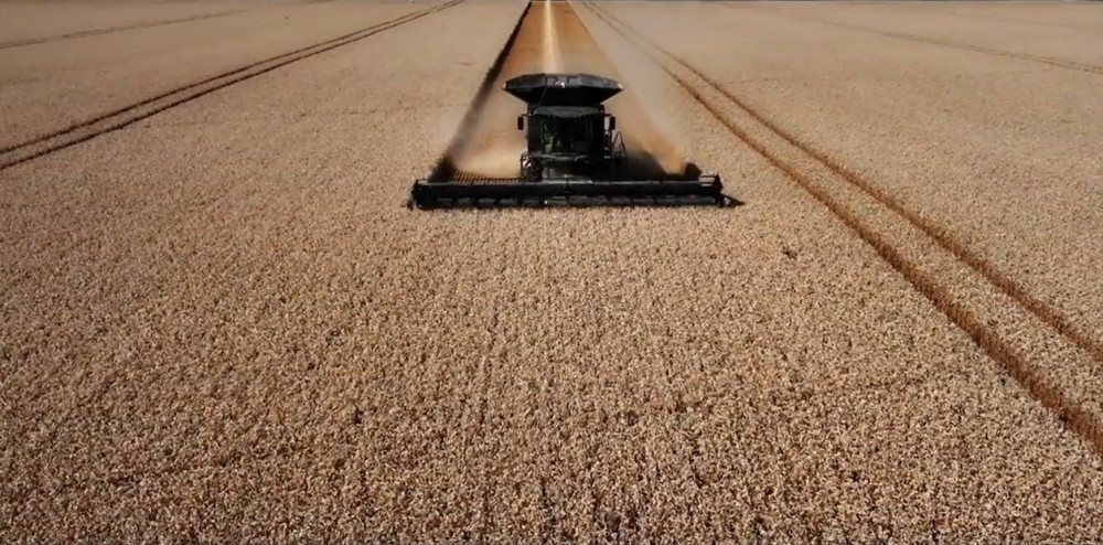 Armed conflict and bioeconomy: a new opportunity for Argentina