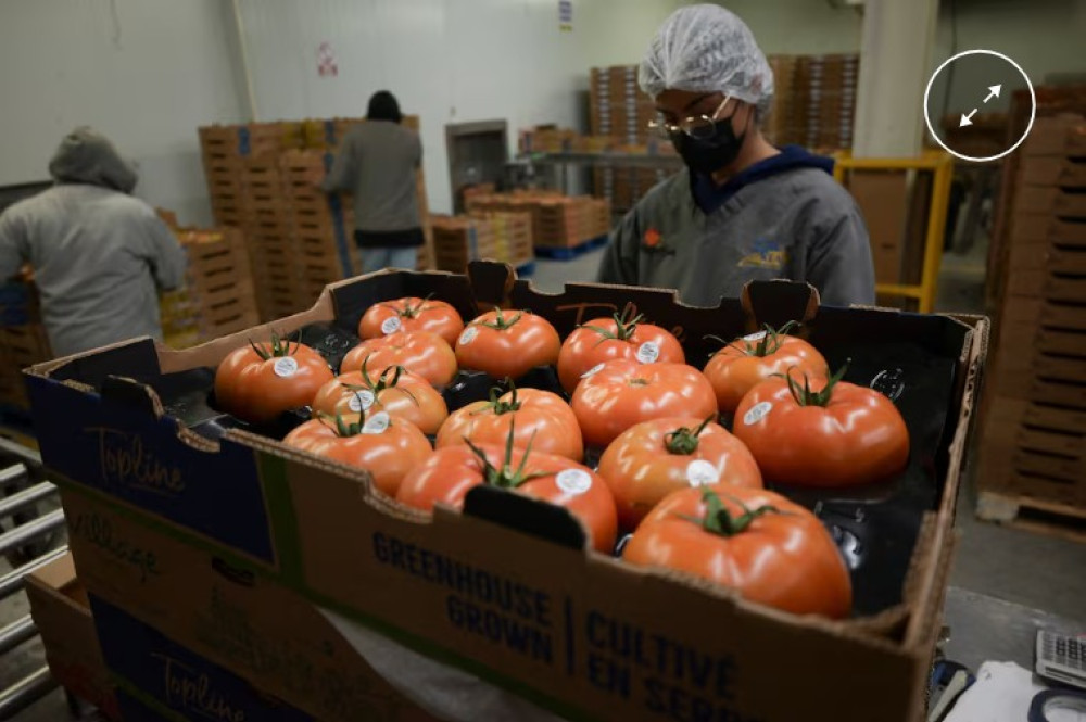 Sheinbaum seeks to contain diesel prices amid rising inflationary pressure