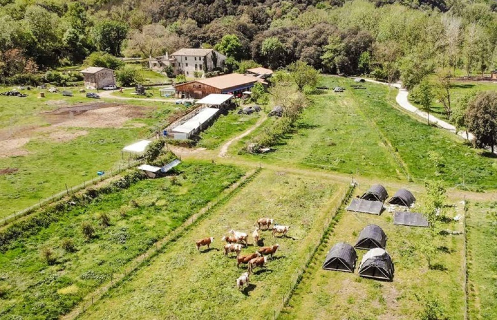 Manual for the design and implementation of a regenerative agri-food model: the Polyfarming system