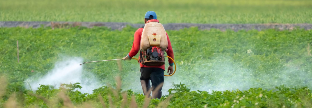 [ENG] Ignorados y sobreexplotados: la conversión extensiva de pastizales y humedales impulsada por la demanda mundial de alimentos, piensos y bioenergía