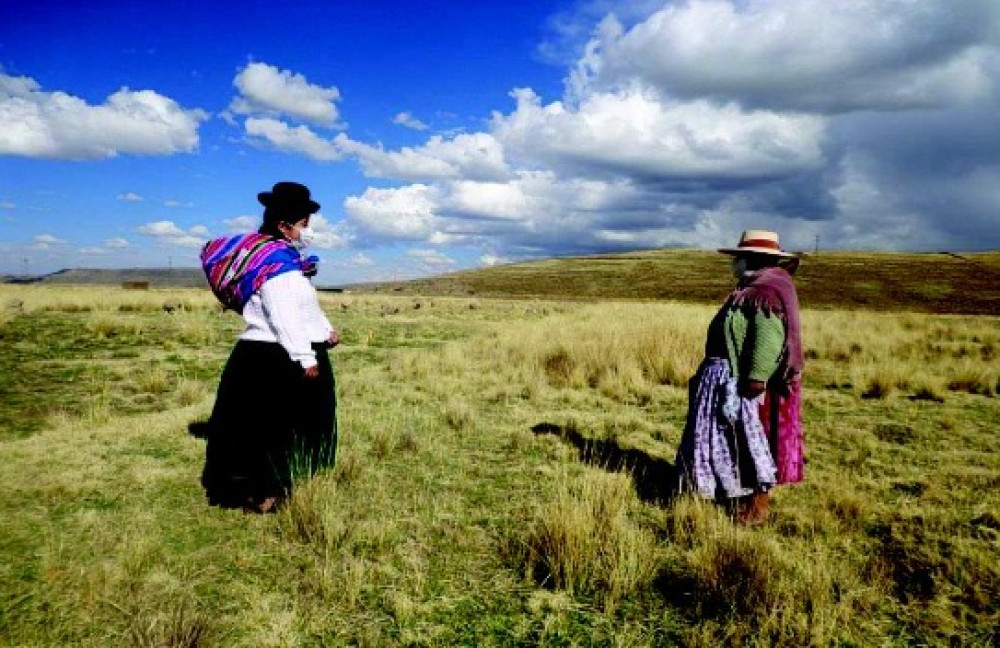 Family agriculture: challenges and difficulties after the pandemic, political crisis, and water deficit