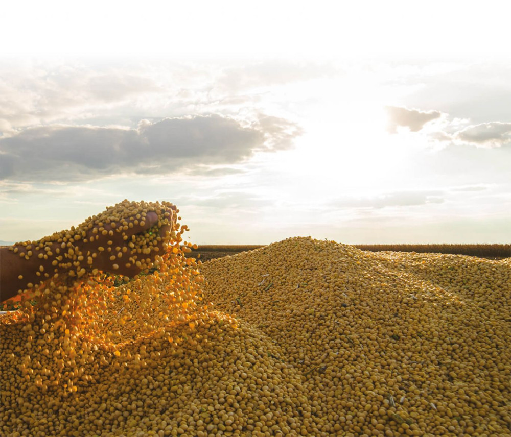 Petróleo impacta café y fertilizantes: alerta global en el agro