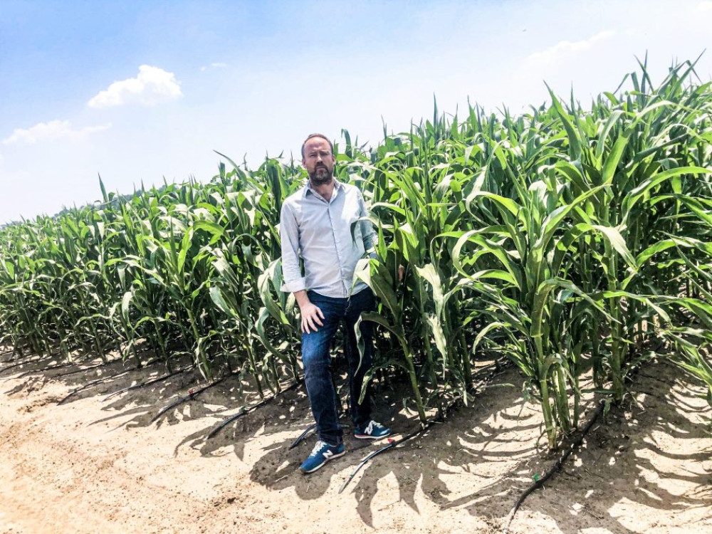 The path that led Brazil to become the largest producer and consumer of organic products in the world