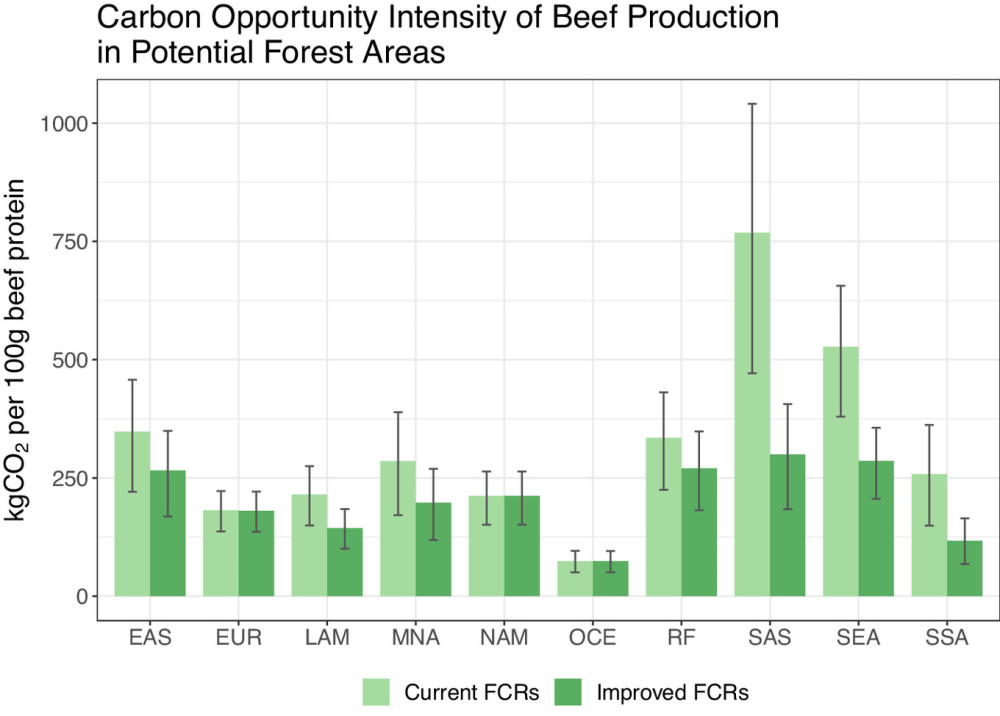 (EN) Oportunidades para la captura de carbono a través de la eliminación o intensificación de la producción de carne bovina basada en pastoreo.