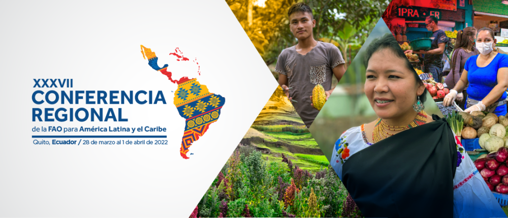 Informe del 37º período de sesiones de la Conferencia Regional de la FAO para América Latina y el Caribe