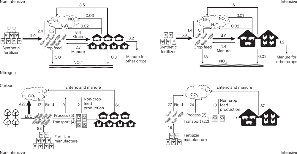 Whole-chain intensification of pig and chicken farming could lower emissions with economic and food production benefits