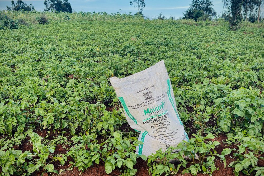 Escasez de alimentos, agua y fertilizantes: la arista oculta de la guerra en Medio Oriente