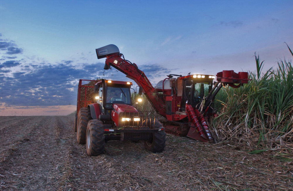 FAO Food Price Index rises in March as Near East conflict raises energy costs