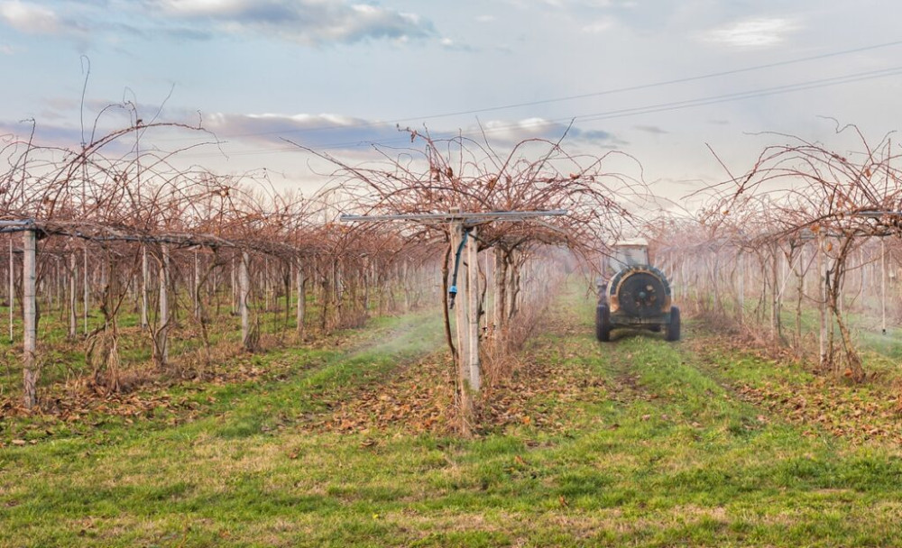 Why Fall Irrigation Defines Next Season's Yield