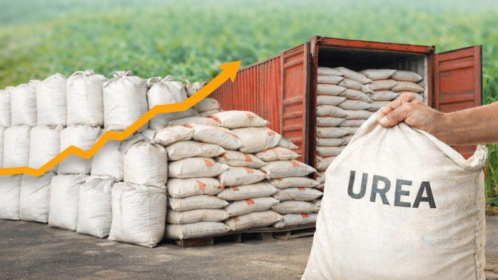 Fertilizer prices rise: costs pressure agriculture and force companies to adjust field strategies