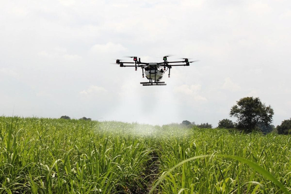 Escalada global en los precios de los fertilizantes: la oportunidad de mirar lo que tenemos a mano
