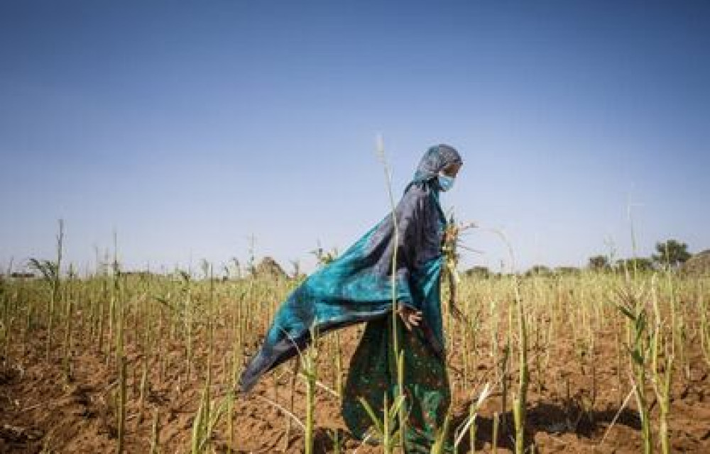 La ONU anuncia nuevos planes para acabar con el hambre pero sin respaldo económico