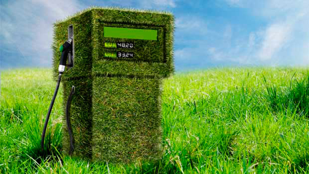 (ES) Guerra entre Rusia y Ucrania: El papel de los Biocombustibles