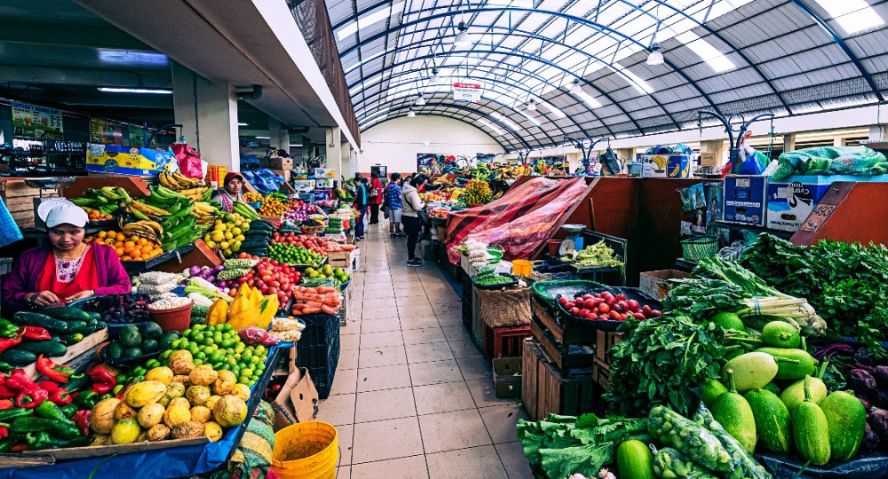 How can international trade be reformed to guarantee universal access to food?