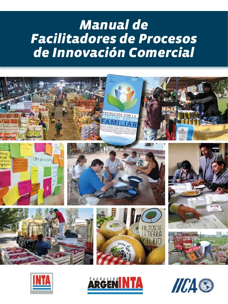 Manual de facilitadores de procesos de innovación comercial