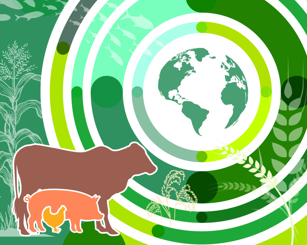 Policy guidelines for the development of the meat and dairy subsector. Honduras