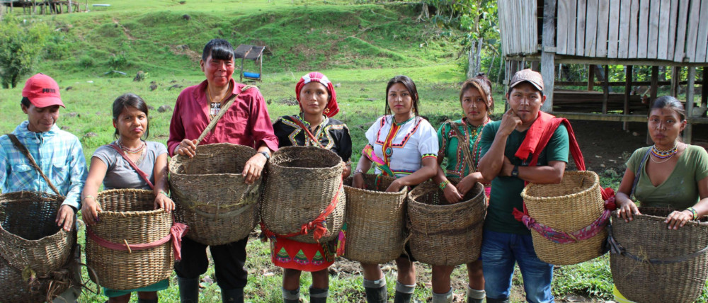 (ES) Foro: Las mujeres rurales jóvenes de las Américas transformando los sistemas agroalimentarios