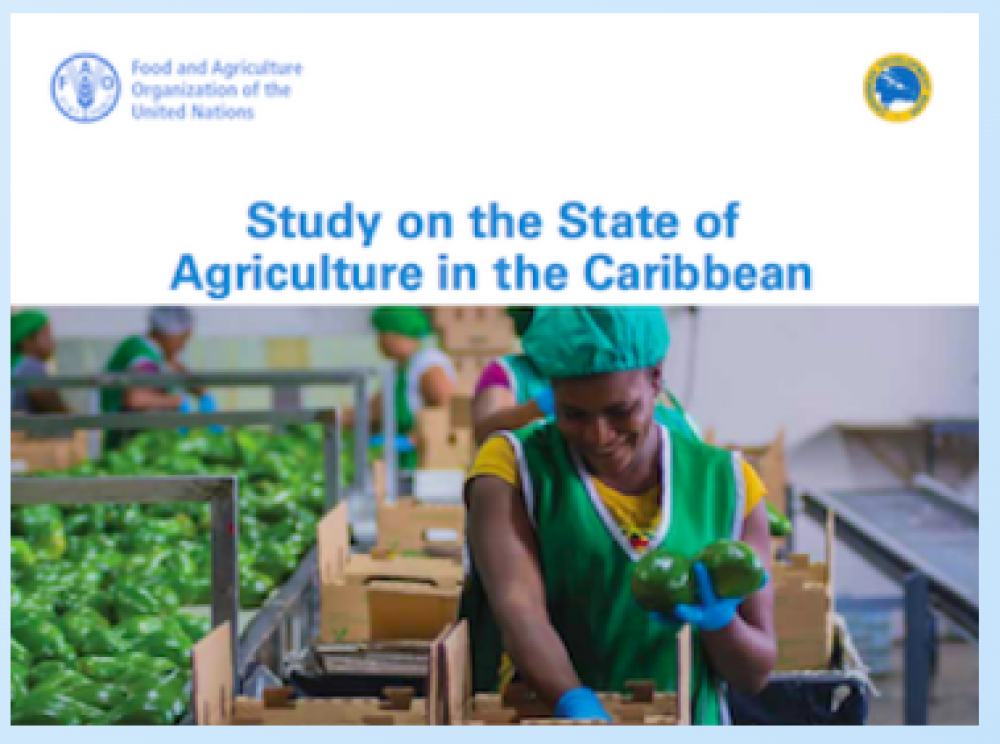Estudio sobre el estado de la agricultura en el Caribe