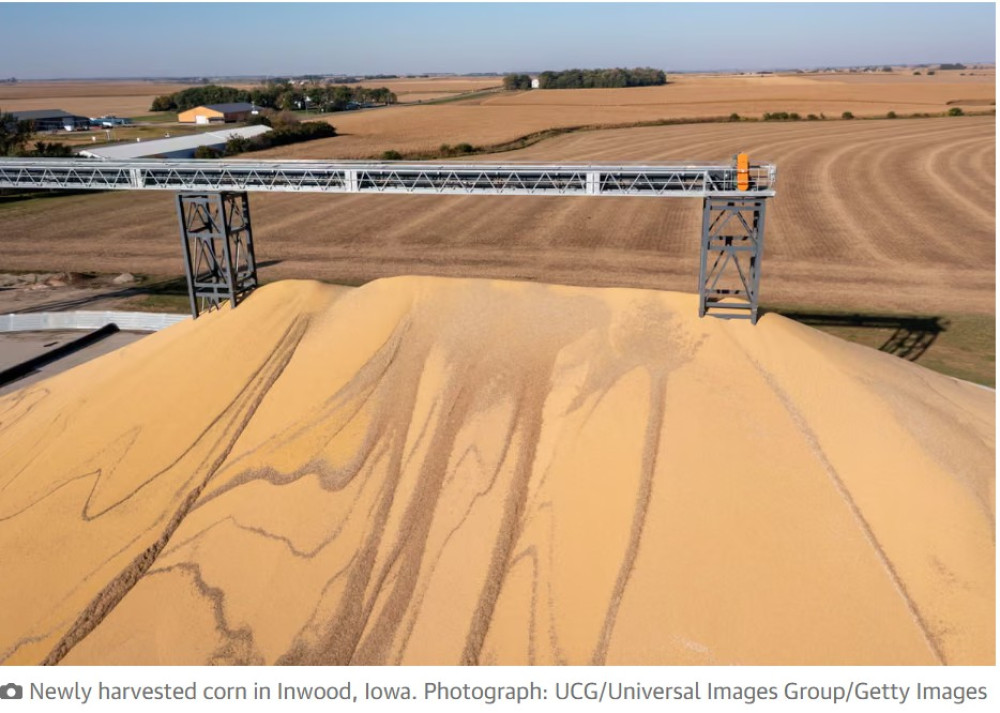 “It’s not sustainable”: US farmers reeling as Iran war pushes fertilizer costs up