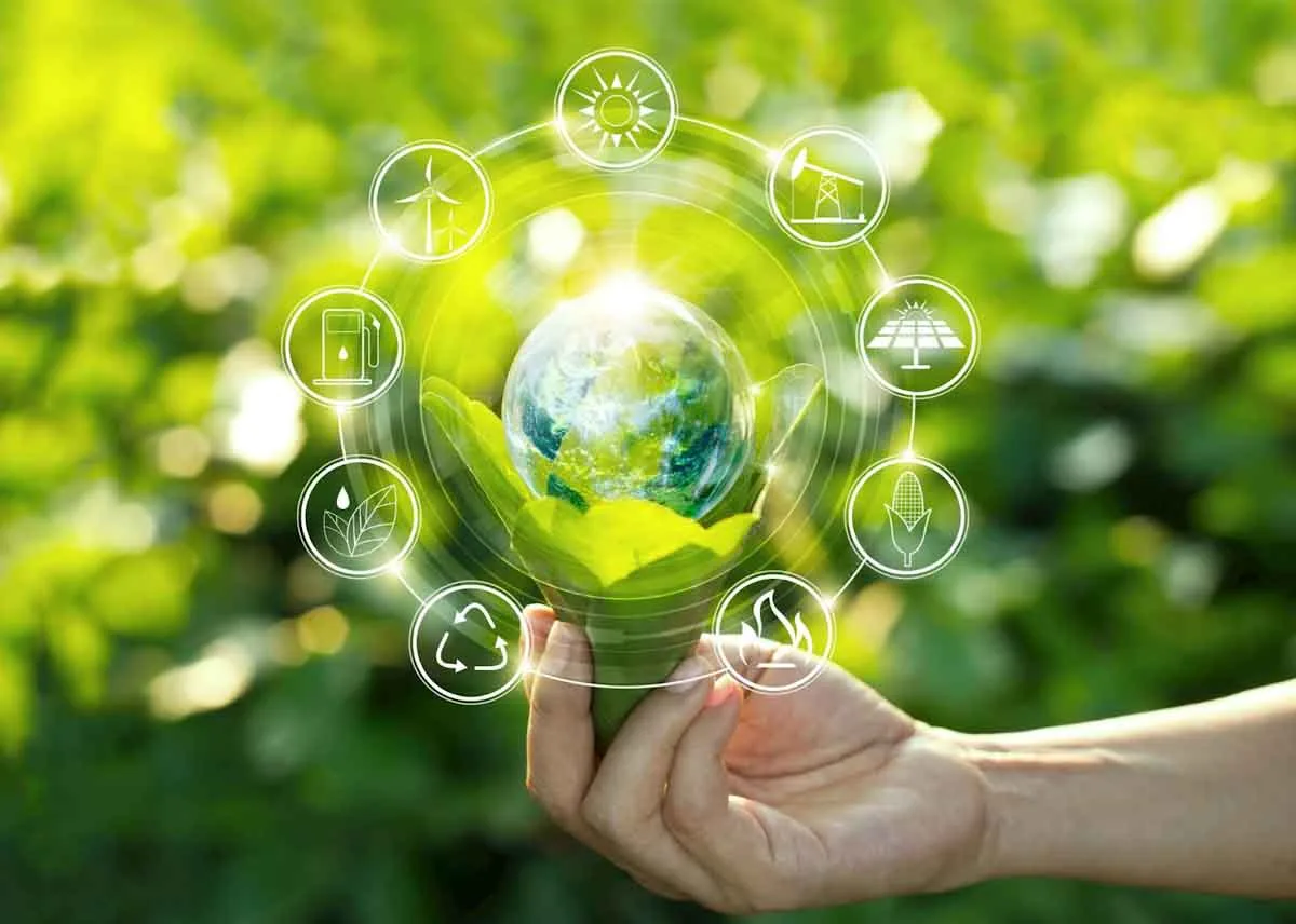 La caja de herramientas de la bioeconomía: una guía para apoyar el desarrollo de estrategias y políticas de bioeconomía sostenible