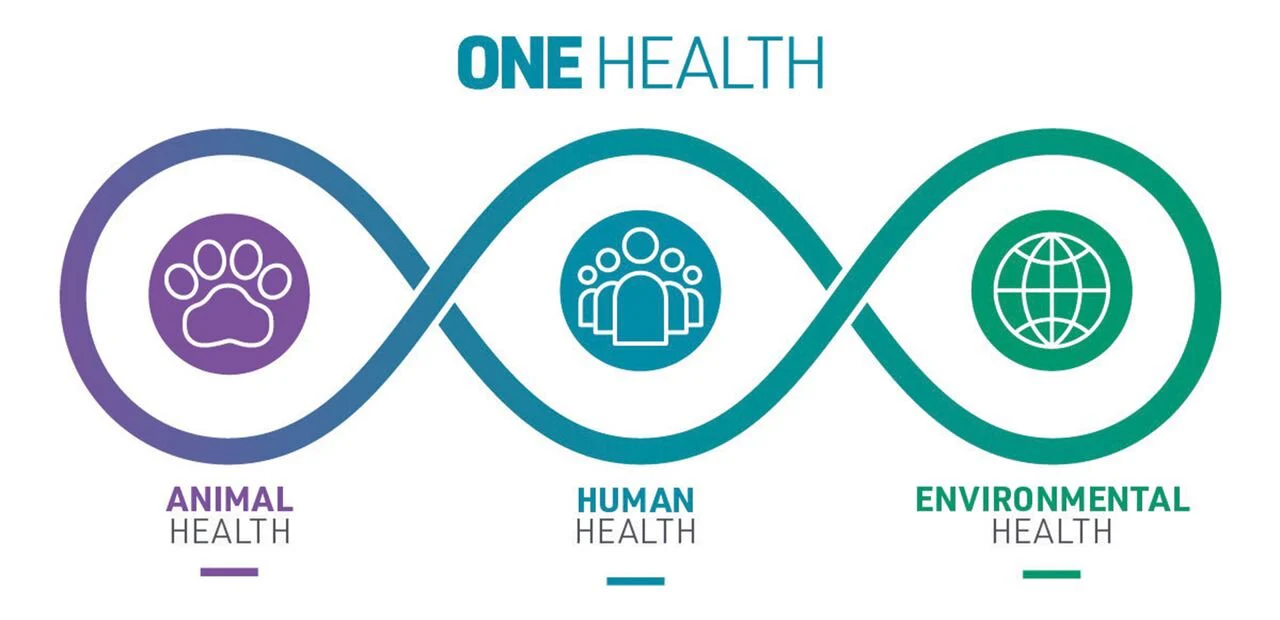 One Health: A holistic approach to addressing health threats at the interface between humans, animals, and the environment