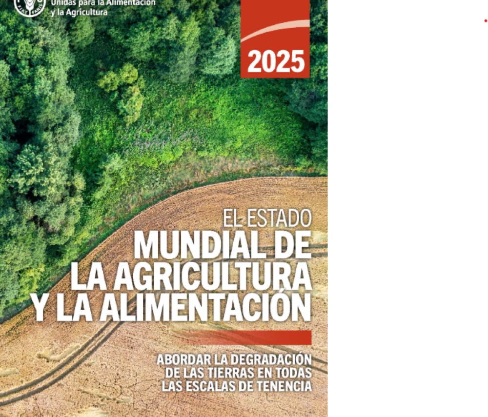 El estado mundial de la agricultura y la alimentación 2025