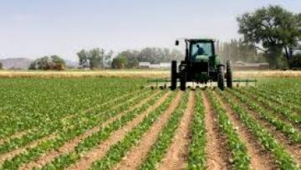 Tendencias y escenarios de la innovación en el sector agroalimentario. Proyecto 2020: escenarios y estrategias en ciencia, tecnología e innovación
