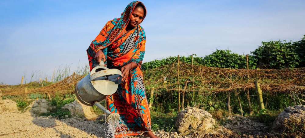 “El reloj avanza”: la disrupción en Ormuz eleva los temores de una crisis alimentaria mundial