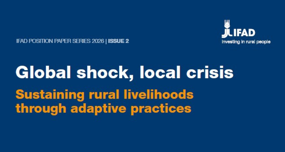 Global shock, local crisis