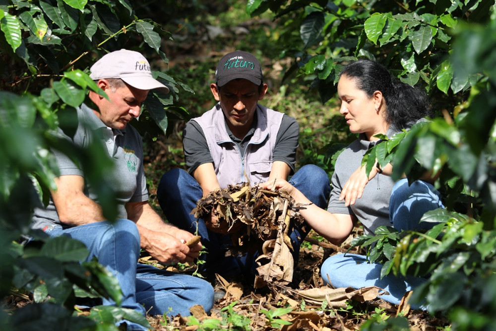 Proyecto INCASBONO+ GIZ