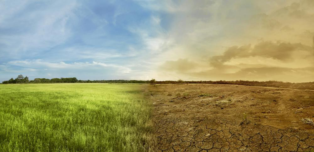 El papel del comercio en la adaptación al cambio climático.