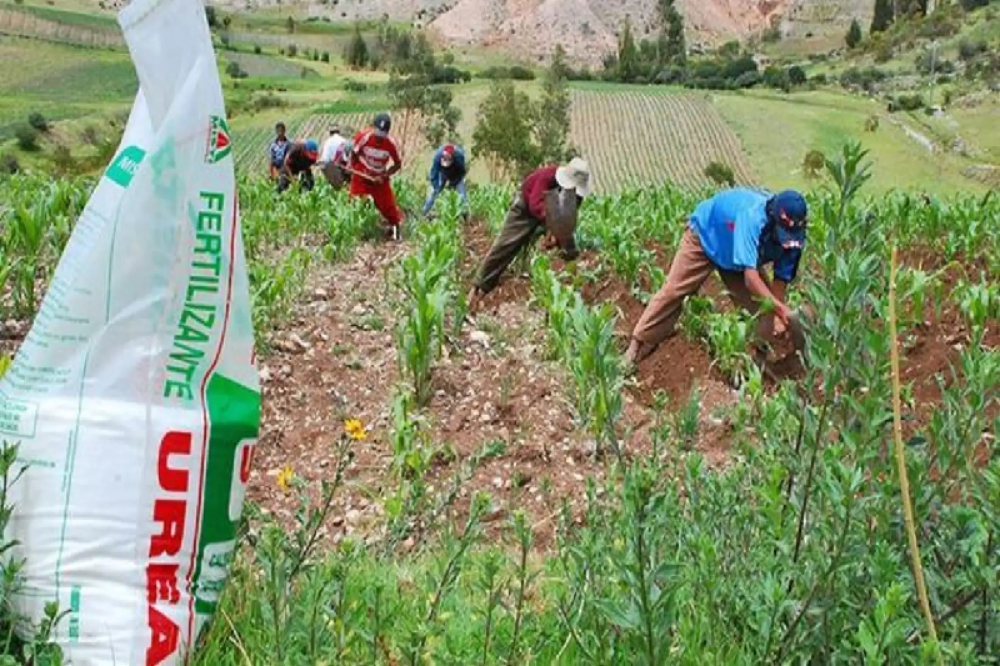 Who is preventing the urea crisis in Peru?