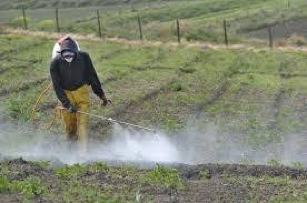 Conflicto en Oriente Medio y su efecto en el mercado de fertilizantes