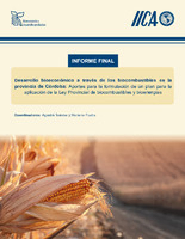 Bioeconomic development through biofuels in the province of Córdoba, Argentina: Contributions to the formulation of a plan for the application of the Provincial Law on biofuels and bioenergy