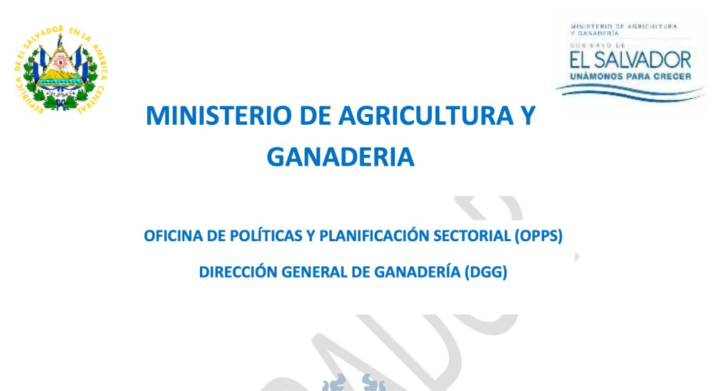Document for the National Bovine Livestock Policy – El Salvador