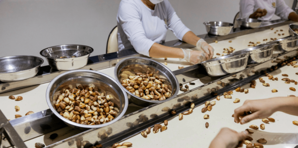 Logística, crédito y políticas son las principales barreras para las empresas agroalimentarias en América Latina y el Caribe.