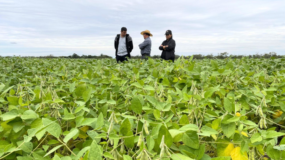 La agricultura como catalizador: para fortalecer la resiliencia de los sistemas alimentarios en el Caribe: un aporte para los debates en las Américas en el camino hacia la Cumbre sobre los Sistemas Alimentarios de la Naciones Unidas 2021