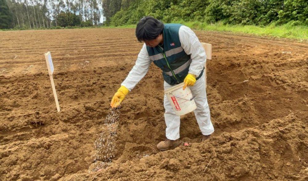 Analizan avances y efectos de fertilizantes naturales ante el aumento de precio del insumo agrícola