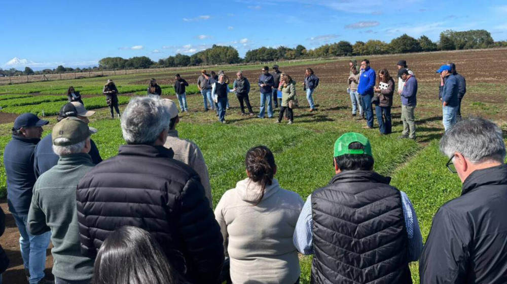 INIA presenta resultados iniciales de proyecto que busca reducir uso de fertilizantes en el sur de Chile
