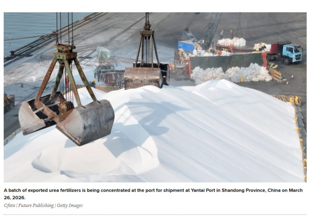 De la guerra al clima: un “super El Niño” plantea nuevos riesgos para los costos globales de los alimentos