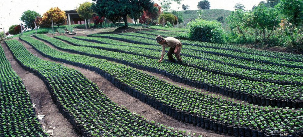 Latin America and the Caribbean is key to feeding 10 billion people in 2050