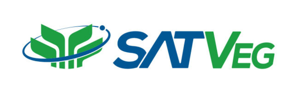 SATVeg - Temporal Vegetation Analysis System