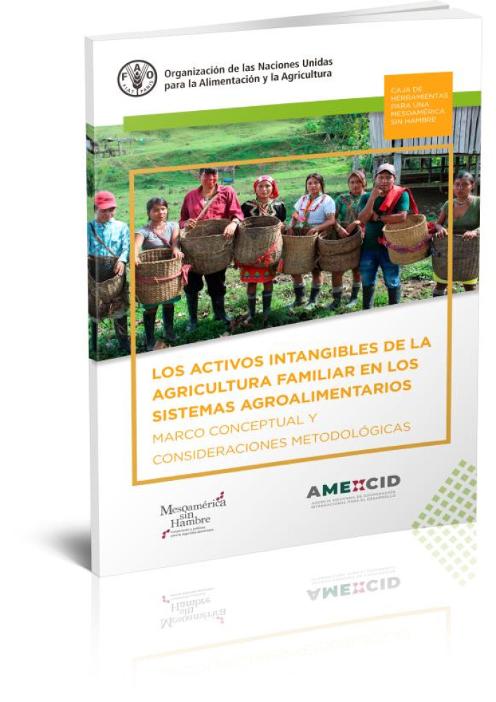 The intangible assets of family farming in agri-food systems