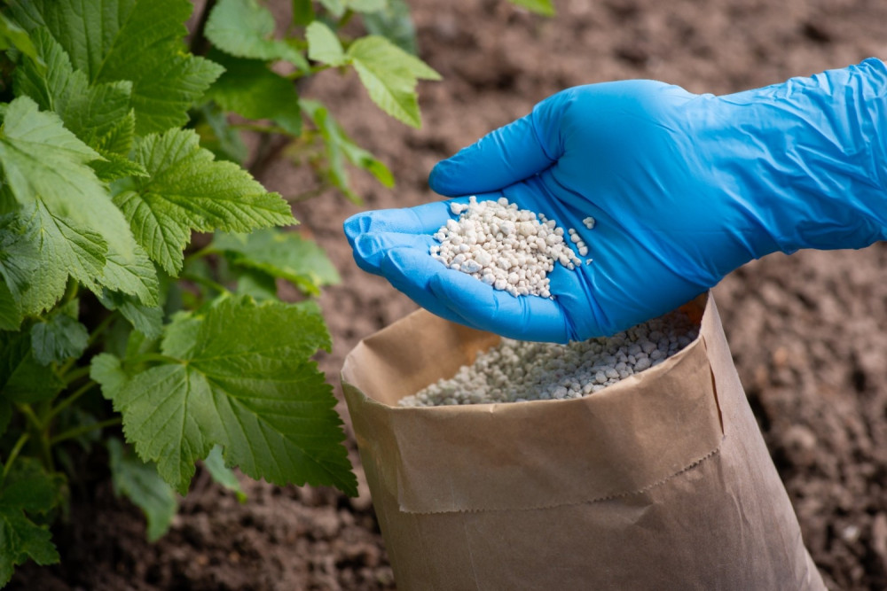 The impact by region and the risks of the global fertilizer crisis for fruit growing