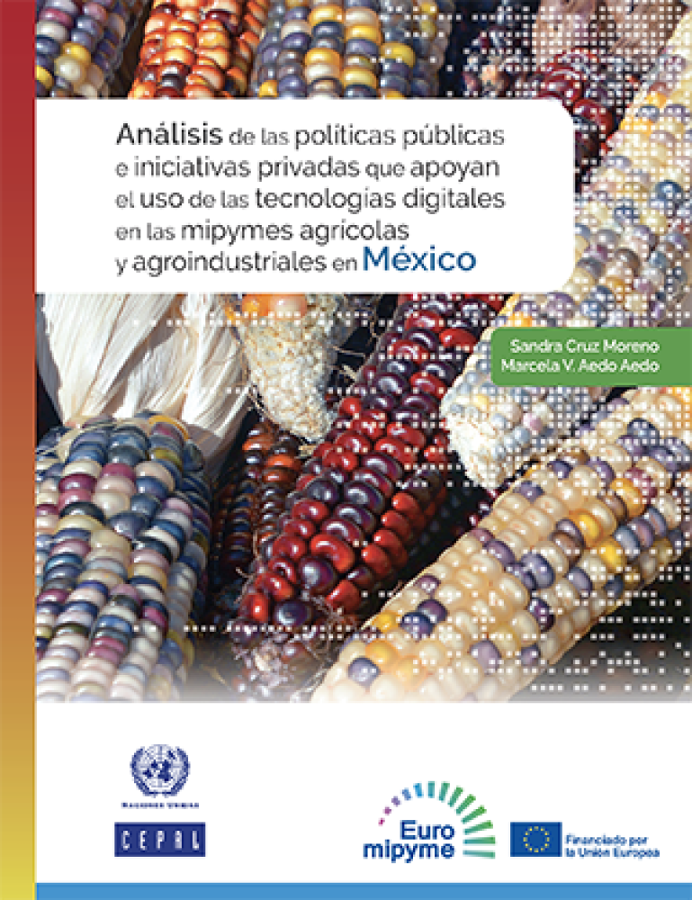 Analysis of public policies and private initiatives that support the use of digital technologies in agricultural and agro-industrial MSMEs in Mexico.