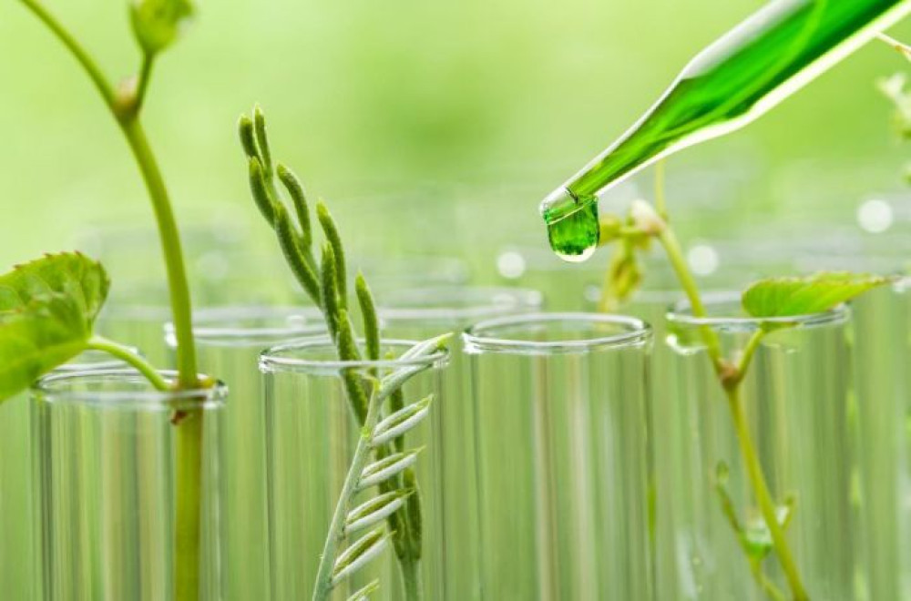 Synthetic biology in agriculture: scaling challenges and opportunities in Latin America